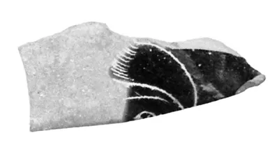 Attic Black-Figure Cup Fragment