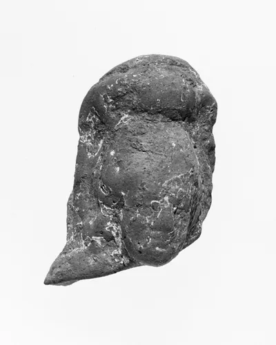 Female Head