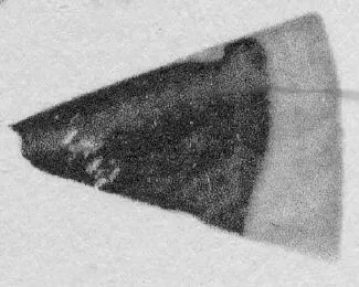 CUP, FRAGMENT (ATHENIAN, RED-FIGURE)