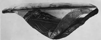 HYDRIA, FRAGMENT (ATHENIAN, BLACK-FIGURE)