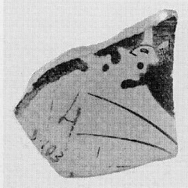 SKYPHOS, FRAGMENT (ATHENIAN, RED-FIGURE)