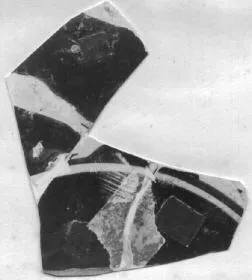 CUP, FRAGMENT (ATHENIAN, RED-FIGURE)