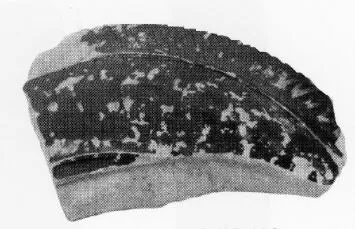LOUTROPHOROS, FRAGMENT (ATHENIAN, RED-FIGURE)
