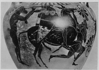 AMPHORA, NECK (ATHENIAN, BLACK-FIGURE)