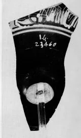 CUP, FRAGMENT (ATHENIAN, BLACK-FIGURE)