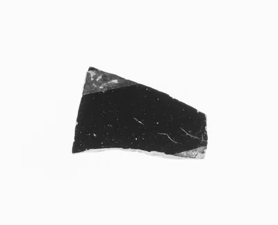 Attic Black-Figure Amphora Fragment