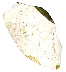 LEKYTHOS, FRAGMENT (ATHENIAN, RED-FIGURE)