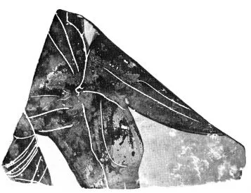 AMPHORA, PANATHENAIC PRIZE (?), FRAGMENT (ATHENIAN, BLACK-FIGURE)