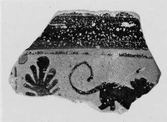 SKYPHOS, FRAGMENT (ATHENIAN, BLACK-FIGURE)