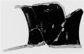 HYDRIA, FRAGMENTS (ATHENIAN, BLACK-FIGURE)
