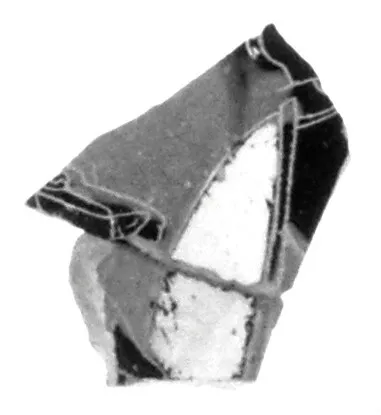 Attic Black-Figure Band Cup Fragment