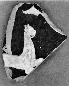 KRATER, FRAGMENT (ATHENIAN, RED-FIGURE)