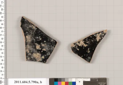 Terracotta fragments of a kylix (drinking cup)