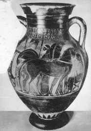 AMPHORA, BELLY, TYPE B (ATHENIAN, BLACK-FIGURE)
