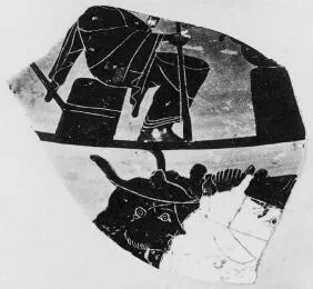 HYDRIA, FRAGMENT (ATHENIAN, BLACK-FIGURE)