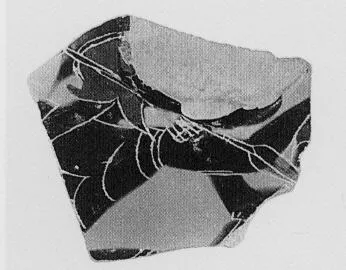 CUP, SIANA (ATHENIAN, BLACK-FIGURE)