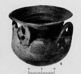OLLA (DAUNIAN)