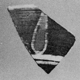 CUP, FRAGMENT (EAST GREEK, CHIAN, BLACK-FIGURE)