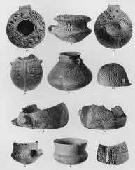 VARIOUS (SARVAS)