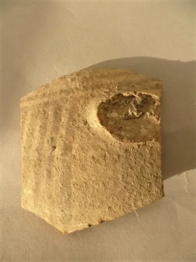 vase