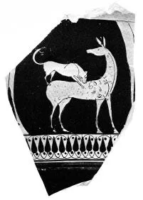 AMPHORA, BELLY, FRAGMENT (ATHENIAN, RED-FIGURE)