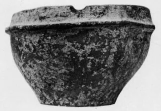 CUP (VILLA NOVA)