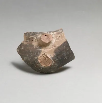 Vase fragment
