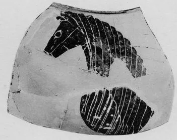 AMPHORA, BELLY, TYPE B (ATHENIAN, BLACK-FIGURE)