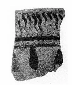SKYPHOS, FRAGMENT (CORINTHIAN)