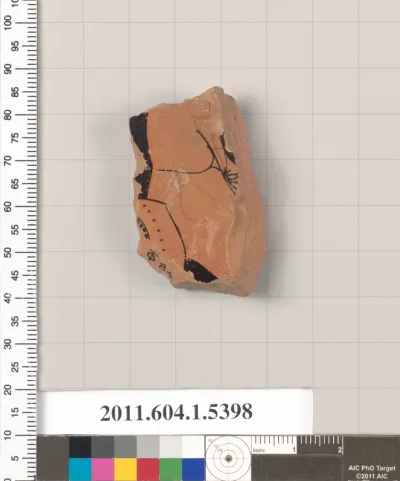 Terracotta fragment of a kylix (drinking cup)