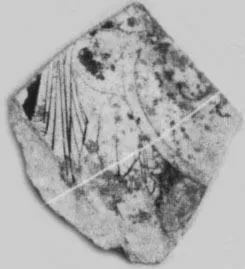CUP, FRAGMENT (ATHENIAN, RED-FIGURE)