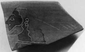 CUP, SIANA, FRAGMENT (ATHENIAN, BLACK-FIGURE)
