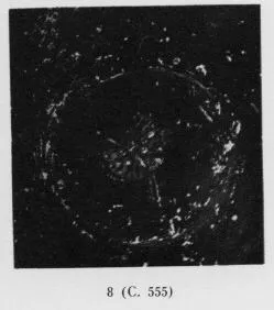 PLATE (SOUTH ITALIAN, CAMPANIAN, BLACK GLAZE)