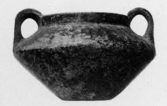 AMPHORA, BELLY (VEIAN)