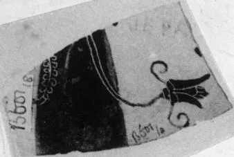 AMPHORA, NECK, FRAGMENT (ATHENIAN, BLACK-FIGURE)