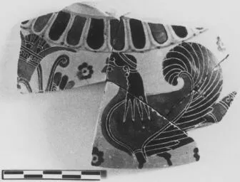 FRAGMENT (ATHENIAN, BLACK-FIGURE)