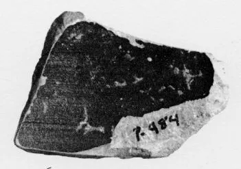 KRATER, COLUMN, FRAGMENT (ATHENIAN, RED-FIGURE)