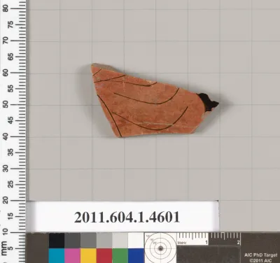 Terracotta fragment of a kylix (drinking cup)