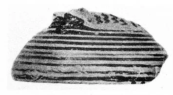 FRAGMENT (CORINTHIAN GEOMETRIC)