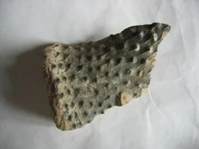 vase fermé