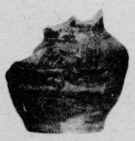 JAR (PROTO-ELAMITE)