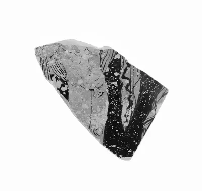South Italian Red-Figure Cup Fragment