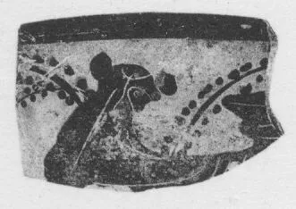 CUP, FRAGMENT (ATHENIAN, BLACK-FIGURE)