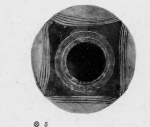 OLLA (DAUNIAN)