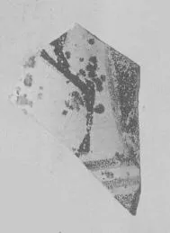SITULA, FRAGMENT (EAST GREEK, OUTLINE)