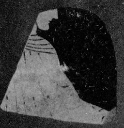 FRAGMENT (ATHENIAN, RED-FIGURE)