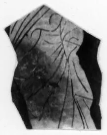 CUP, FRAGMENT (ATHENIAN, RED-FIGURE)