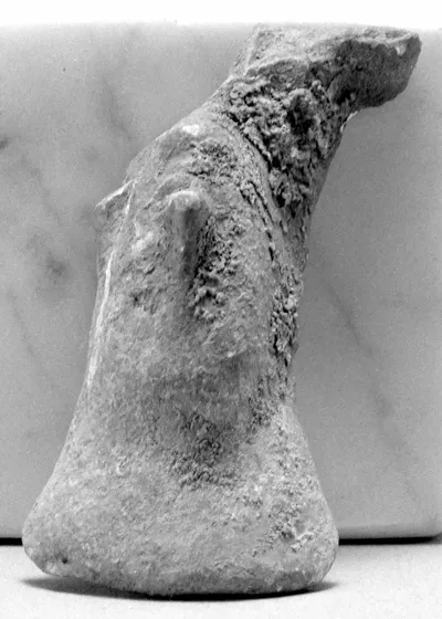 Female Head