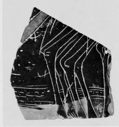 AMPHORA, BELLY, FRAGMENT (ATHENIAN, BLACK-FIGURE)