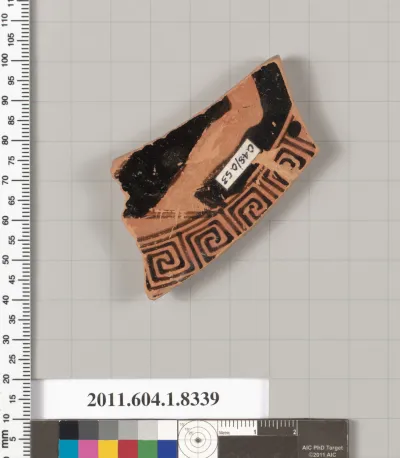 Terracotta fragment of a kylix (drinking cup)